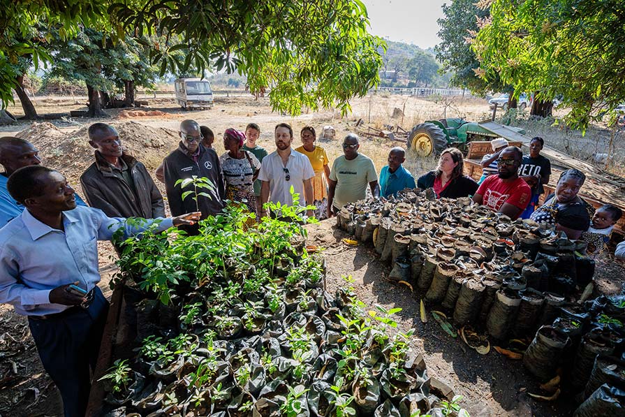 Group prepares to plant seedlings.